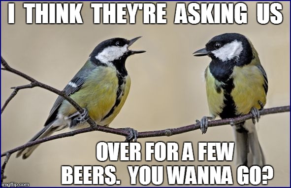 I  THINK  THEY'RE  ASKING  US OVER FOR A FEW BEERS.  YOU WANNA GO? | made w/ Imgflip meme maker