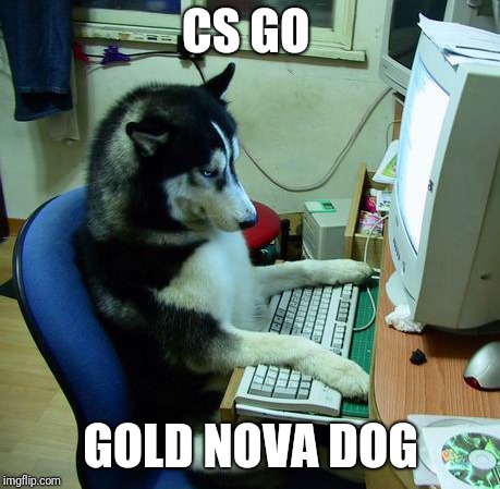 I Have No Idea What I Am Doing | CS GO; GOLD NOVA DOG | image tagged in memes,i have no idea what i am doing | made w/ Imgflip meme maker