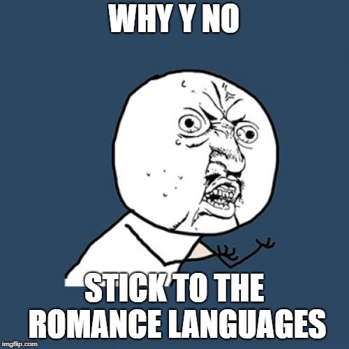Y U No Meme | WHY Y NO STICK TO THE ROMANCE LANGUAGES | image tagged in memes,y u no | made w/ Imgflip meme maker