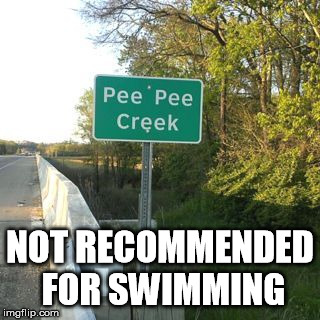 Not recommended for swimming | NOT RECOMMENDED FOR SWIMMING | image tagged in not recommended for swimming | made w/ Imgflip meme maker