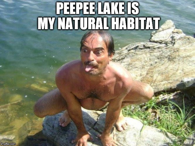 Perverted Swimmer | PEEPEE LAKE IS MY NATURAL HABITAT | image tagged in perverted swimmer | made w/ Imgflip meme maker