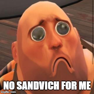 Hoovy No Sandvich | NO SANDVICH FOR ME | image tagged in hoovy no sandvich | made w/ Imgflip meme maker