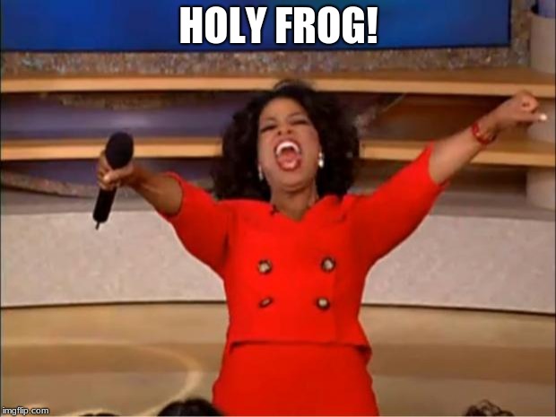 Oprah You Get A Meme | HOLY FROG! | image tagged in memes,oprah you get a | made w/ Imgflip meme maker