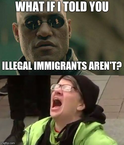 WHAT IF I TOLD YOU ILLEGAL IMMIGRANTS AREN'T? | image tagged in memes,matrix morpheus,screaming liberal | made w/ Imgflip meme maker