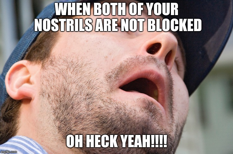not blocked nostrils | WHEN BOTH OF YOUR NOSTRILS ARE NOT BLOCKED; OH HECK YEAH!!!! | image tagged in nostrils | made w/ Imgflip meme maker