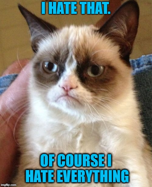 Grumpy Cat Meme | I HATE THAT. OF COURSE I HATE EVERYTHING | image tagged in memes,grumpy cat | made w/ Imgflip meme maker