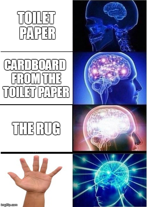 Expanding Brain | TOILET PAPER; CARDBOARD FROM THE TOILET PAPER; THE RUG | image tagged in memes,expanding brain | made w/ Imgflip meme maker