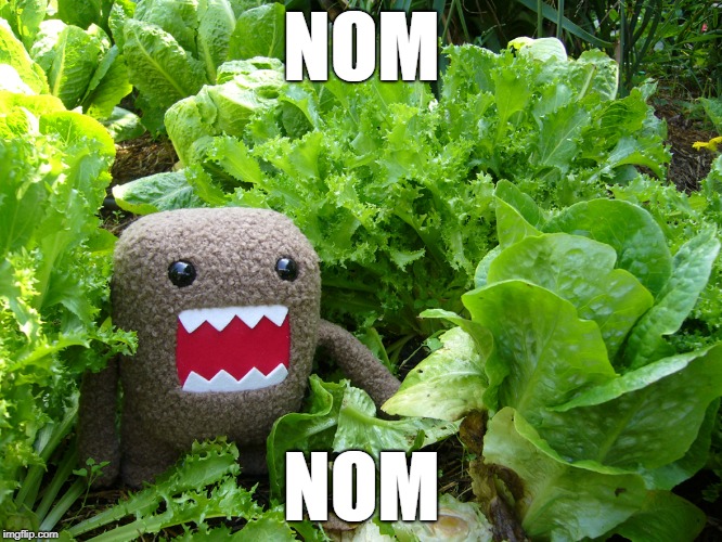Killer Lettuce | NOM; NOM | image tagged in killer lettuce | made w/ Imgflip meme maker