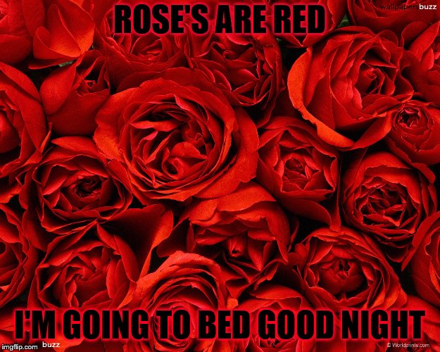 rose's are red i'm going to bed good night | ROSE'S ARE RED; I'M GOING TO BED GOOD NIGHT | image tagged in good night,red rose's,bed time,roses,roses are red violets are are blue,roses are red | made w/ Imgflip meme maker