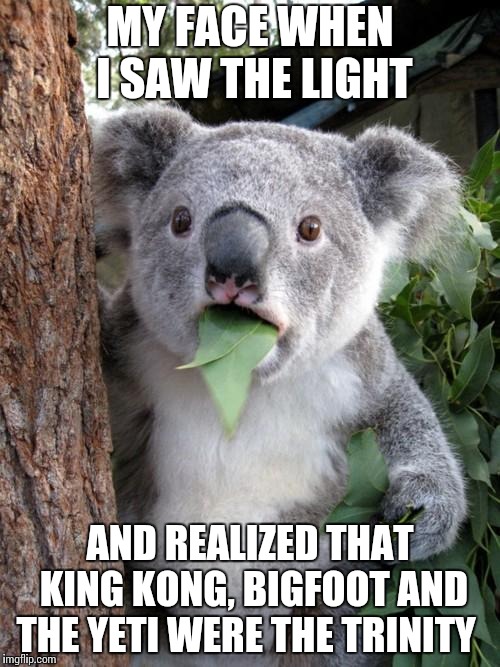 I wonder how many will take this wrong? | MY FACE WHEN I SAW THE LIGHT; AND REALIZED THAT KING KONG, BIGFOOT AND THE YETI WERE THE TRINITY | image tagged in memes,surprised koala | made w/ Imgflip meme maker