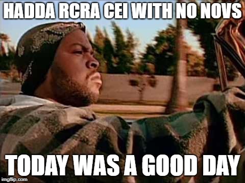 ice cube | HADDA RCRA CEI WITH NO NOVS; TODAY WAS A GOOD DAY | image tagged in ice cube | made w/ Imgflip meme maker