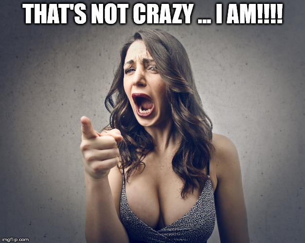 THAT'S NOT CRAZY ... I AM!!!! | image tagged in crazy girl | made w/ Imgflip meme maker