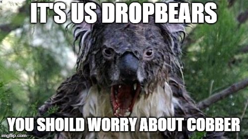 Angry Koala Meme | IT'S US DROPBEARS YOU SHOILD WORRY ABOUT COBBER | image tagged in memes,angry koala | made w/ Imgflip meme maker