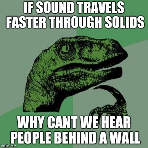 sound is a weird thing | IF SOUND TRAVELS FASTER THROUGH SOLIDS; WHY CANT WE HEAR PEOPLE BEHIND A WALL | image tagged in memes,philosoraptor,sound,wall | made w/ Imgflip meme maker