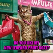 Cat shopping | DO YOU LIKE MY NEW LEOPARD-PRINT COAT? | image tagged in cat shopping,cats | made w/ Imgflip meme maker