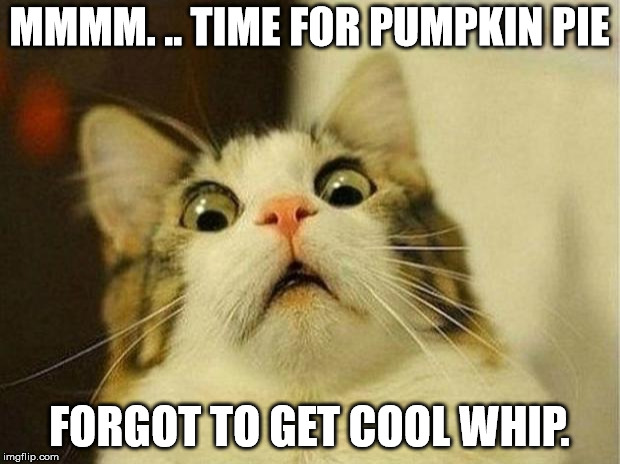 Scared Cat Meme | MMMM. .. TIME FOR PUMPKIN PIE; FORGOT TO GET COOL WHIP. | image tagged in memes,scared cat | made w/ Imgflip meme maker
