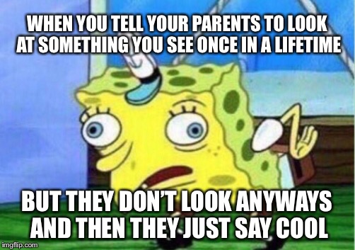 Mocking Spongebob | WHEN YOU TELL YOUR PARENTS TO LOOK AT SOMETHING YOU SEE ONCE IN A LIFETIME; BUT THEY DON’T LOOK ANYWAYS AND THEN THEY JUST SAY COOL | image tagged in memes,mocking spongebob | made w/ Imgflip meme maker