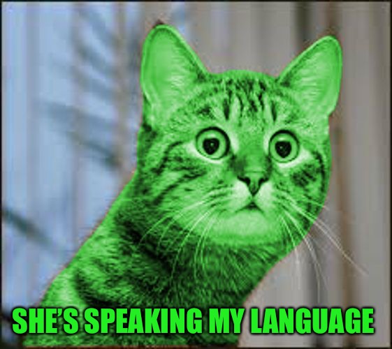 RayCat WTF | SHE’S SPEAKING MY LANGUAGE | image tagged in raycat wtf | made w/ Imgflip meme maker