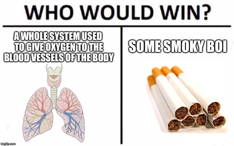 Who Would Win? | SOME SMOKY BOI; A WHOLE SYSTEM USED TO GIVE OXYGEN TO THE BLOOD VESSELS OF THE BODY | image tagged in memes,who would win | made w/ Imgflip meme maker