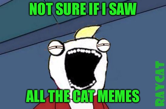 Not Sure if X or Y | NOT SURE IF I SAW ALL THE CAT MEMES | image tagged in not sure if x or y | made w/ Imgflip meme maker