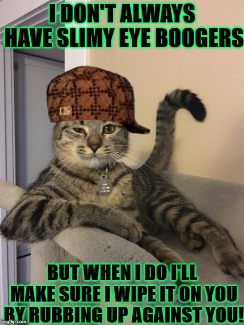 I DON'T ALWAYS HAVE SLIMY EYE BOOGERS; BUT WHEN I DO I'LL MAKE SURE I WIPE IT ON YOU BY RUBBING UP AGAINST YOU! | image tagged in i don't always,scumbag | made w/ Imgflip meme maker