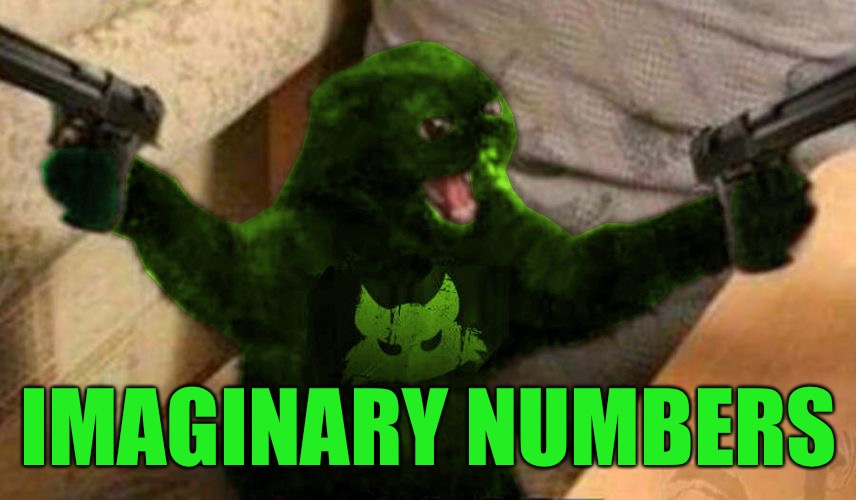RayCat Angry | IMAGINARY NUMBERS | image tagged in raycat angry | made w/ Imgflip meme maker