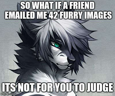 New template hope you like plz use | SO WHAT IF A FRIEND EMAILED ME 42 FURRY IMAGES; ITS NOT FOR YOU TO JUDGE | image tagged in emo furry,meme,furry,furries | made w/ Imgflip meme maker