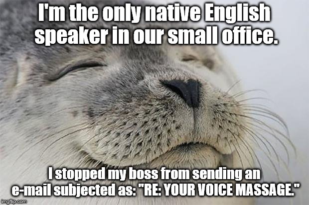 Oh, yea talk dirty to me, baby! | I'm the only native English speaker in our small office. I stopped my boss from sending an e-mail subjected as: "RE: YOUR VOICE MASSAGE." | image tagged in memes,satisfied seal | made w/ Imgflip meme maker