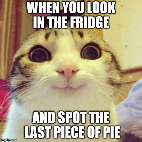 Smiling Cat | WHEN YOU LOOK IN THE FRIDGE; AND SPOT THE LAST PIECE OF PIE | image tagged in memes,smiling cat | made w/ Imgflip meme maker