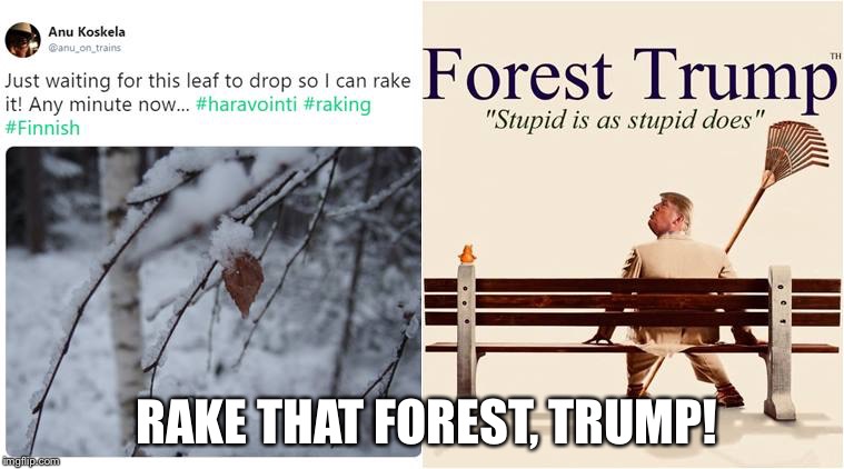 Rake it! | RAKE THAT FOREST, TRUMP! | image tagged in forest trump | made w/ Imgflip meme maker