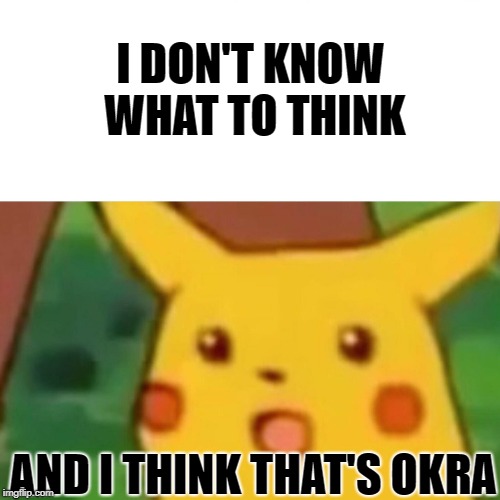 Surprised Pikachu Meme | I DON'T KNOW WHAT TO THINK AND I THINK THAT'S OKRA | image tagged in memes,surprised pikachu | made w/ Imgflip meme maker