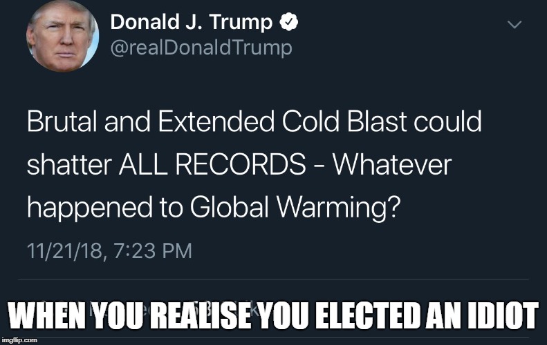Americans please elect someone with a brain |  WHEN YOU REALISE YOU ELECTED AN IDIOT | image tagged in donald trump,maga | made w/ Imgflip meme maker