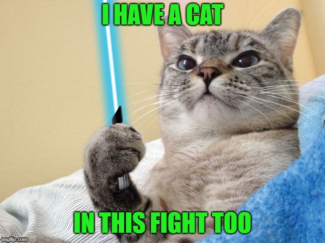 I HAVE A CAT IN THIS FIGHT TOO | made w/ Imgflip meme maker