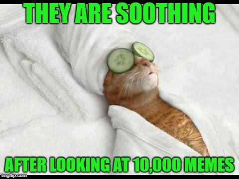 THEY ARE SOOTHING AFTER LOOKING AT 10,000 MEMES | made w/ Imgflip meme maker