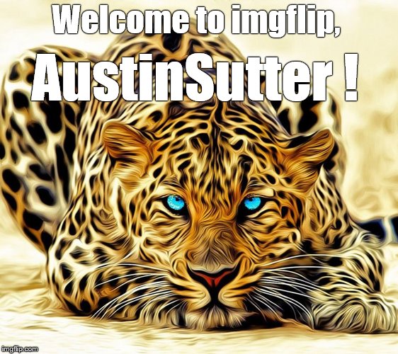 big cat | Welcome to imgflip, AustinSutter ! | image tagged in big cat | made w/ Imgflip meme maker