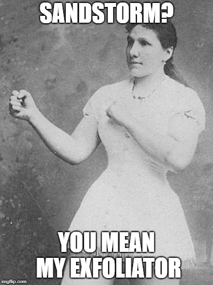 overly manly woman | SANDSTORM? YOU MEAN MY EXFOLIATOR | image tagged in overly manly woman | made w/ Imgflip meme maker