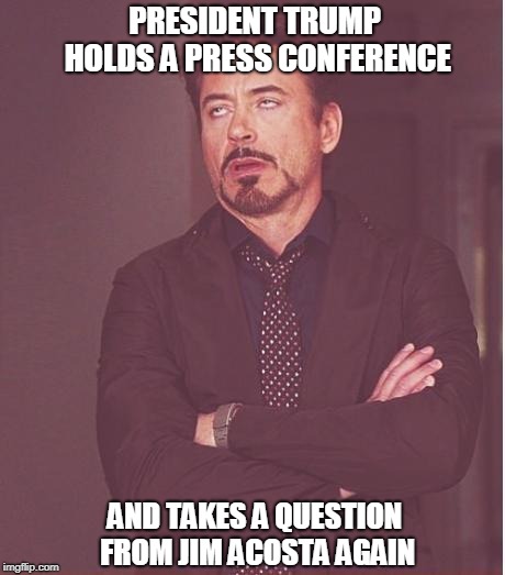 Face You Make Robert Downey Jr | PRESIDENT TRUMP HOLDS A PRESS CONFERENCE; AND TAKES A QUESTION FROM JIM ACOSTA AGAIN | image tagged in memes,face you make robert downey jr | made w/ Imgflip meme maker