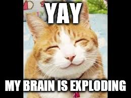Happy Cat is Happy | YAY MY BRAIN IS EXPLODING | image tagged in happy cat is happy | made w/ Imgflip meme maker