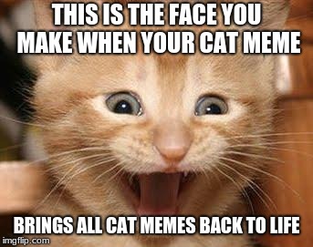 Excited Cat Meme | THIS IS THE FACE YOU MAKE WHEN YOUR CAT MEME; BRINGS ALL CAT MEMES BACK TO LIFE | image tagged in memes,excited cat | made w/ Imgflip meme maker