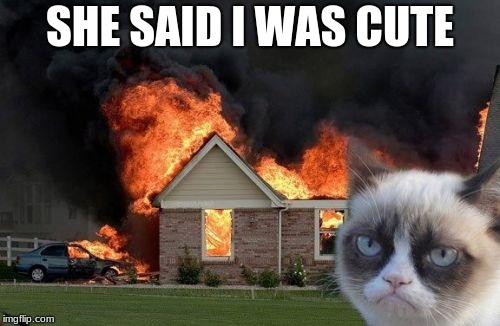 Burn Kitty | SHE SAID I WAS CUTE | image tagged in memes,burn kitty,grumpy cat | made w/ Imgflip meme maker