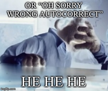 OR “OH SORRY WRONG AUTOCORRECT” HE HE HE | made w/ Imgflip meme maker