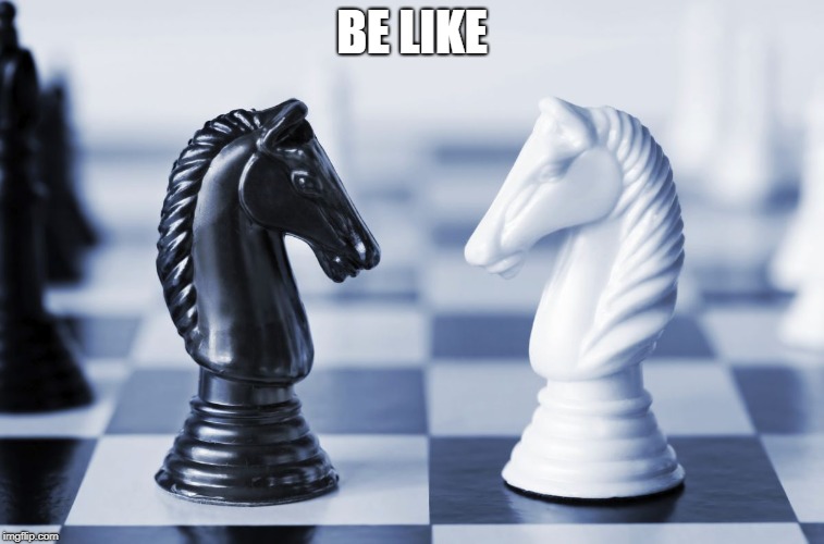 Black and white knight | BE LIKE | image tagged in black and white knight | made w/ Imgflip meme maker