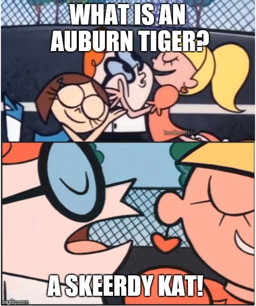 Dexters Lab | WHAT IS AN AUBURN TIGER? A SKEERDY KAT! | image tagged in dexters lab | made w/ Imgflip meme maker