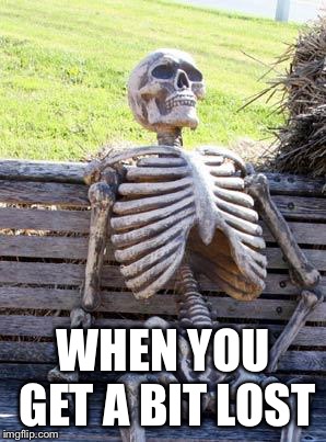 Waiting Skeleton Meme | WHEN YOU GET A BIT LOST | image tagged in memes,waiting skeleton | made w/ Imgflip meme maker