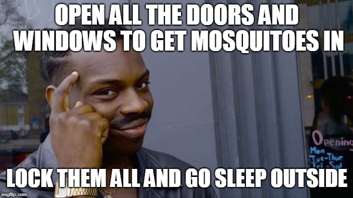 Roll Safe Think About It | OPEN ALL THE DOORS AND WINDOWS TO GET MOSQUITOES IN; LOCK THEM ALL AND GO SLEEP OUTSIDE | image tagged in memes,roll safe think about it | made w/ Imgflip meme maker