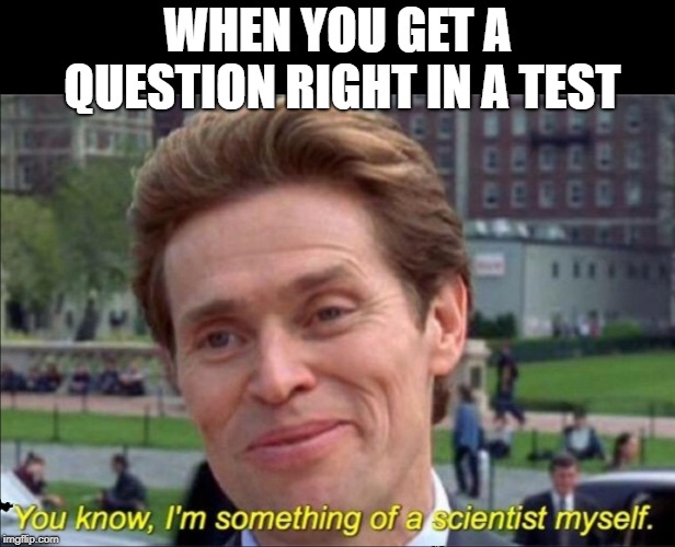 You know, I'm something of a scientist myself | WHEN YOU GET A QUESTION RIGHT IN A TEST | image tagged in you know i'm something of a scientist myself | made w/ Imgflip meme maker