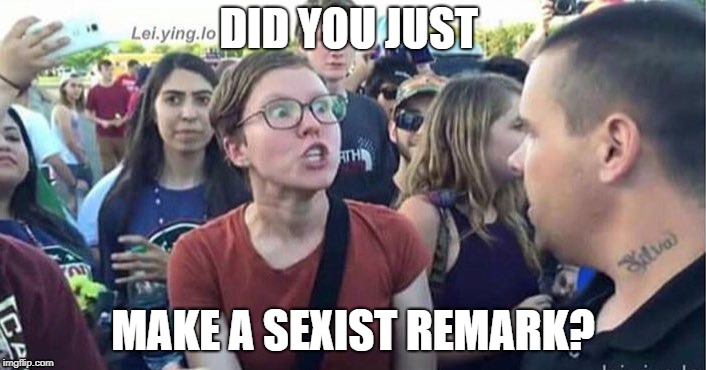 Did you just assume my gender | DID YOU JUST; MAKE A SEXIST REMARK? | image tagged in did you just assume my gender | made w/ Imgflip meme maker