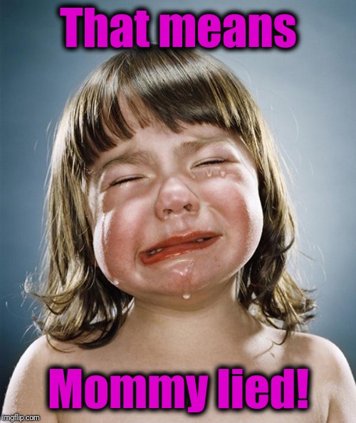 crying girl | That means Mommy lied! | image tagged in crying girl | made w/ Imgflip meme maker