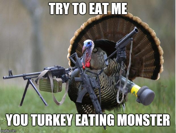 Happy Thanksgiving. | TRY TO EAT ME; YOU TURKEY EATING MONSTER | image tagged in turkey,thanksgiving,memes | made w/ Imgflip meme maker