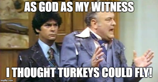 AS GOD AS MY WITNESS; I THOUGHT TURKEYS COULD FLY! | image tagged in turkey | made w/ Imgflip meme maker